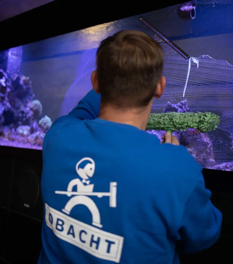 Glasreinigung und Gebäudereinigung in Dresden