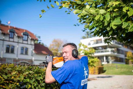 Unsere ausgebildeten Gärtner sorgen für den richtigen Schnitt an Baum, Strauch und Hecke.