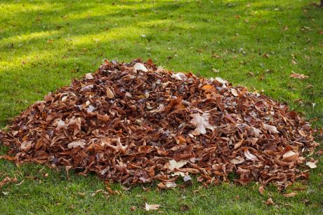 Jedes Jahr im Herbst stehen Sie vor der gleichen Herausforderung: Laub entfernen! Wir beseitigen und entsorgen Ihr Laub auch auf großen Flächen mit entsprechender Technik.