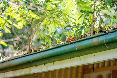 Reinigen Sie Ihre Dachrinnen selbst? - Ohne Gerüst und Zugangstechnik reinigen wir Ihre Dachrinnen oder Dachfenster.