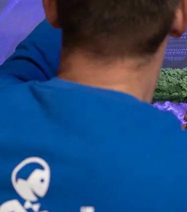 OBACHT Objektservice Dresden