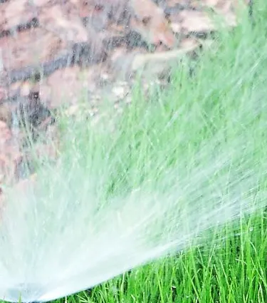 OBACHT Objektservice Dresden