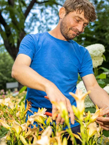 Grünanlagenpflege Dresden
